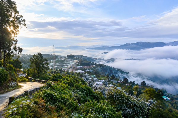 Daringibadi Winter Package